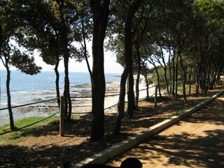 Casa per le vacanze Vabriga Ambiente 25