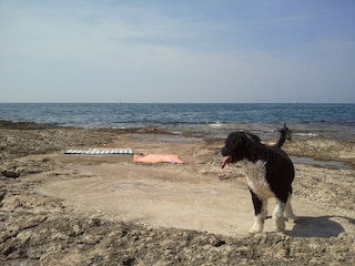 Casa per le vacanze Vabriga Ambiente 24