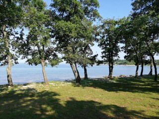 Casa per le vacanze Vabriga Ambiente 31