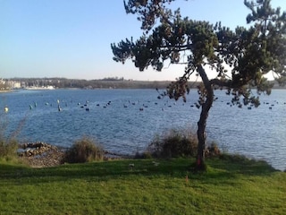 Vakantiehuis Vabriga Omgeving 24