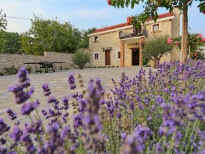 Spacious Villa in Prkos with Private Swimming Pool - Škabrnja - image1