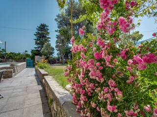 Casa de vacaciones Osor Grabación al aire libre 6