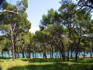 Holiday house Kanica Environment 27