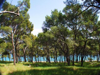 Maison de vacances Kanica Environnement 31