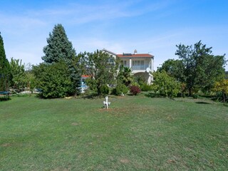 Holiday house Dicmo Outdoor Recording 8