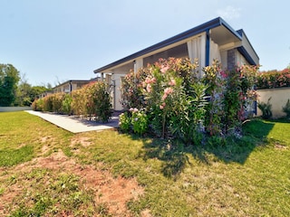 Trailer Banjole Outdoor Recording 15