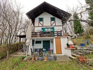 Holiday house Gemütliches Ferienhaus in Havidic Selo mit Garten - Crna Luka - image1