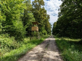 Casa per le vacanze Crna Luka Ambiente 26