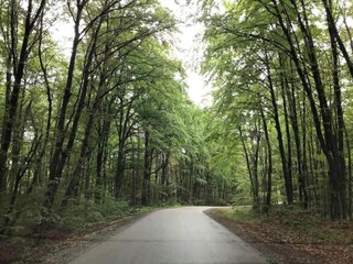 Ferienhaus Crna Luka Umgebung 24