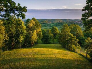 Casa per le vacanze Crna Luka Ambiente 23