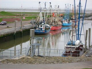 Vakantiehuis Dorum-Neufeld Omgeving 19