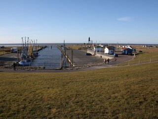 Vakantiehuis Dorum-Neufeld Omgeving 23