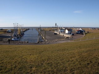 Vakantiehuis Dorum-Neufeld Omgeving 24