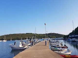 Trailer Banjole Environment 23