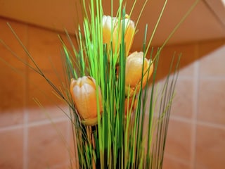 Appartamento Dramalj  38