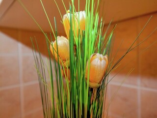 Appartement Dramalj  39