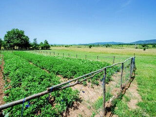 Vakantiehuisje Gračac Omgeving 20