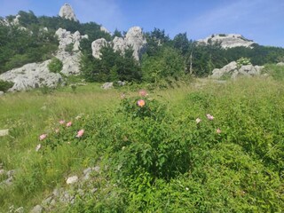 Holiday cottage Gračac Environment 32