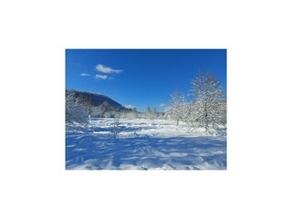 Maison de vacances Lokve  41