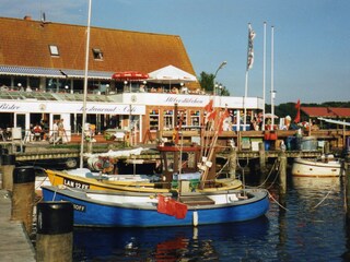 Casa per le vacanze Neukirchen bei Quern  18