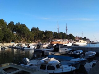 Apartment Mandre Umgebung 26