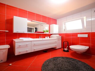 Casa de vacaciones Gornji Poličnik Características 22