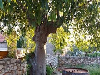 Ferienhaus Marina in Kroatien Außenaufnahme 14