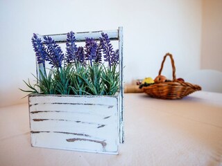 Apartment Starigrad  38