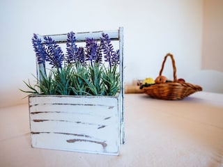 Apartment Starigrad  40