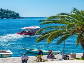 Holiday house Cavtat Environment 27