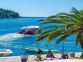 Maison de vacances Cavtat Environnement 27