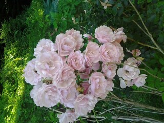 Casa de vacaciones Kostel  21