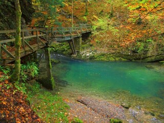Ferienhaus Moravice Umgebung 28