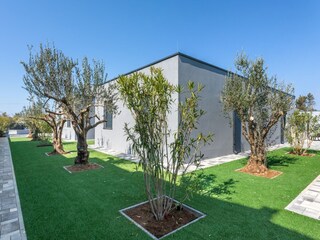 Casa de vacaciones Povljana Grabación al aire libre 4