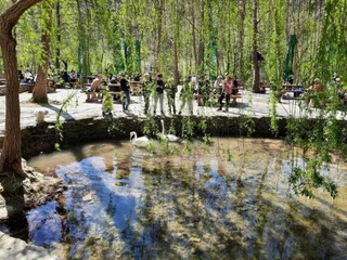 Apartment Grebastica Umgebung 41