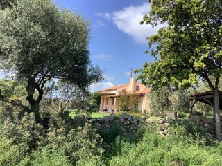 house and garden
