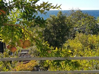 Apartment Primosten Außenaufnahme 6