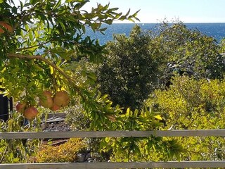 Appartamento Primosten Registrazione all'aperto 6