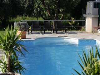 Holiday house Rogotin Outdoor Recording 2