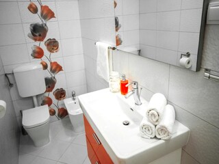 Holiday house Rogotin Features 16