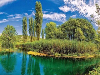 Holiday house Rogotin Environment 30