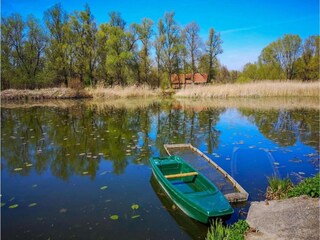Casa per le vacanze Veli Rat Ambiente 23