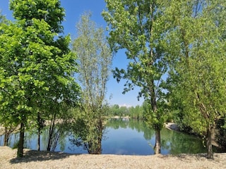 Apartment Veli Rat Environment 32