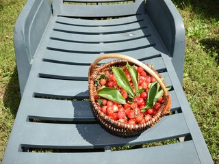 Casa per le vacanze Žbandaj  26