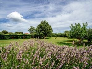 Holiday house Private estate with 2 infinity pools - Polača - image1