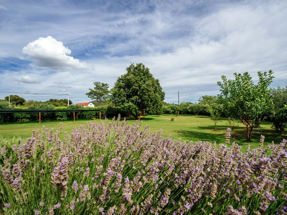 Casa de vacaciones Polača Grabación al aire libre 1