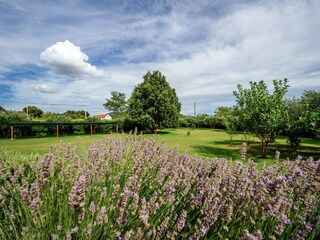 Casa de vacaciones Polača Grabación al aire libre 11