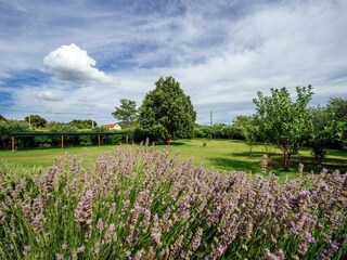 Maison de vacances Polača Enregistrement extérieur 12