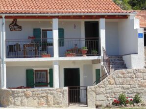 Ferienhaus in Starigrad am Strand