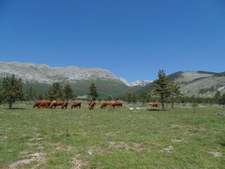 Vakantiehuis Starigrad Omgeving 23